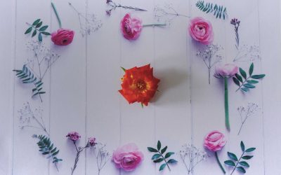 Little Rose – Chapter 1 – Rose